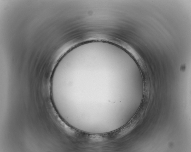 X0000092030807200709131618