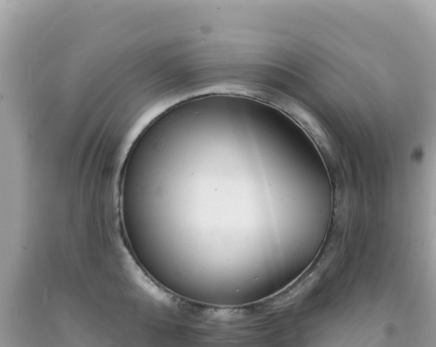 X0000092030808200709131618