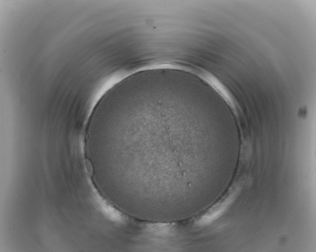 X0000092030813200709131618