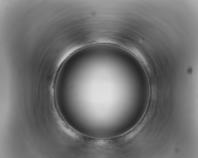 X0000092030814200709131618
