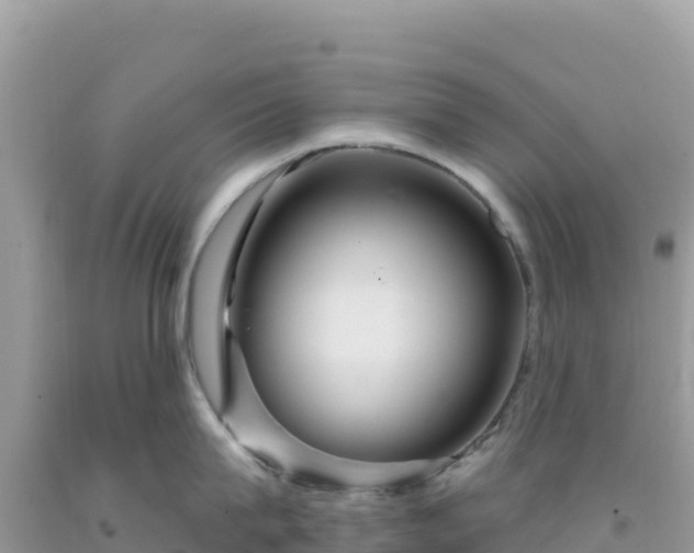 X0000092030815200709131618