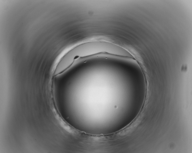 X0000092030816200709131618