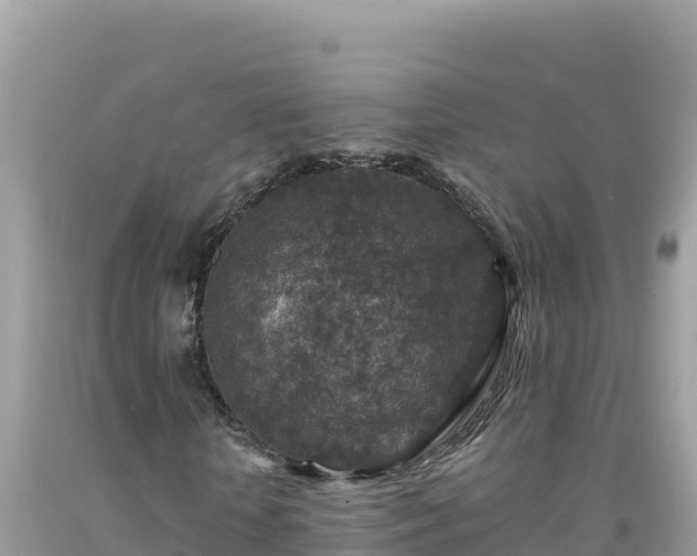 X0000092030818200709131617