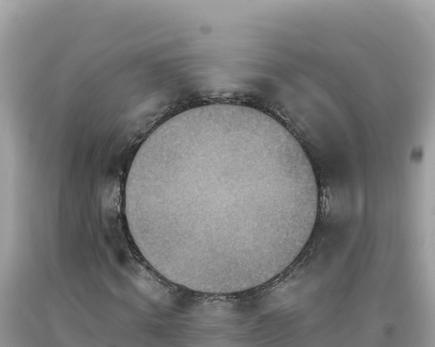 X0000092030820200709131617