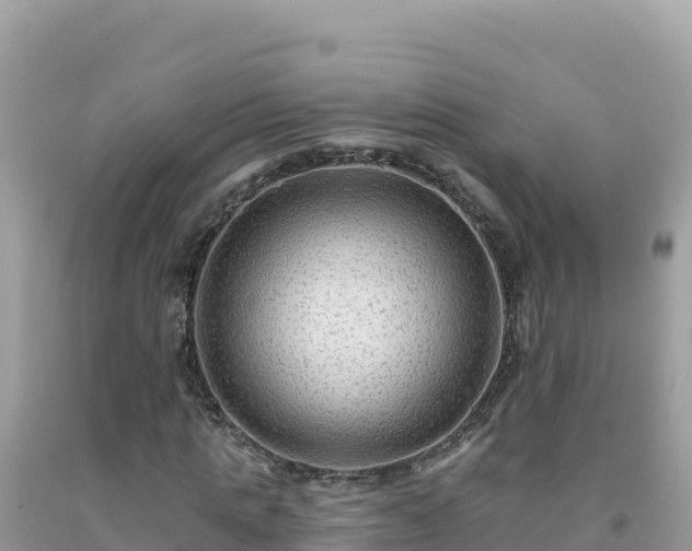 X0000092030821200709131617