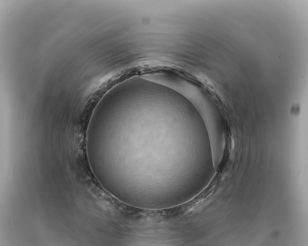 X0000092030822200709131617