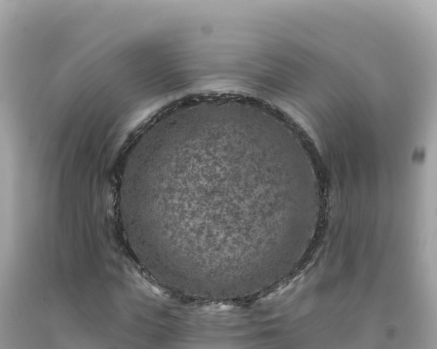 X0000092030823200709131617