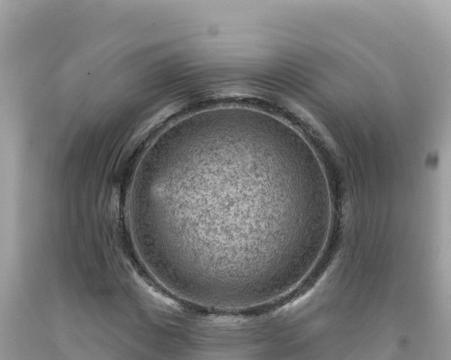 X0000092030825200709131617