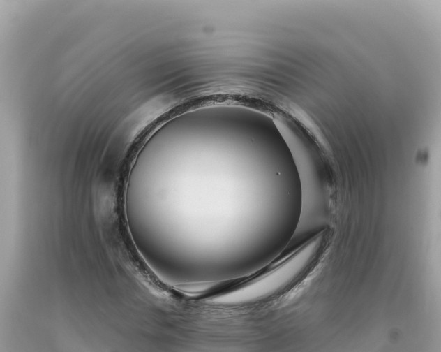 X0000092030826200709131617