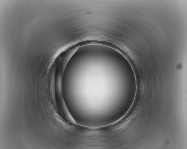 X0000092030830200709131617
