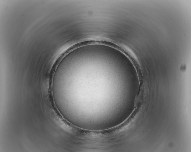 X0000092030831200709131617