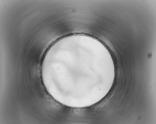 X0000092030832200709131617