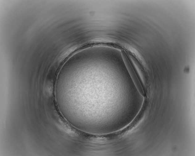 X0000092030833200709131617