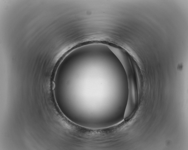 X0000092030834200709131617