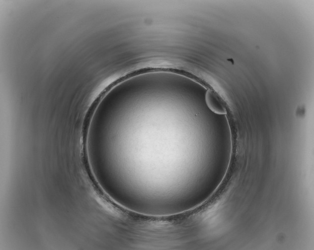 X0000092030837200709131617