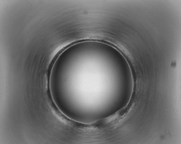 X0000092030838200709131617