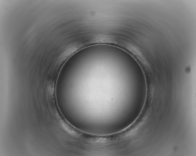 X0000092030841200709131617
