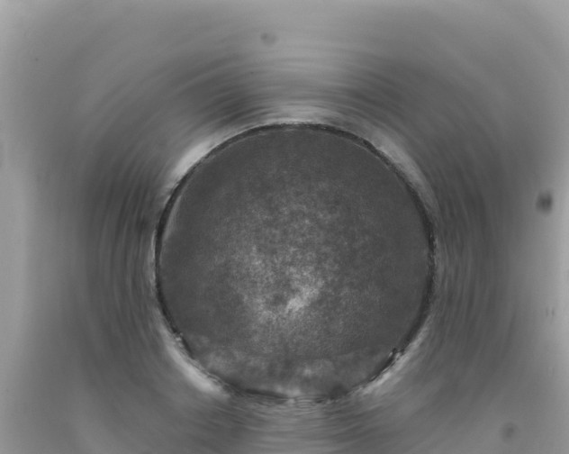 X0000092030842200709131617