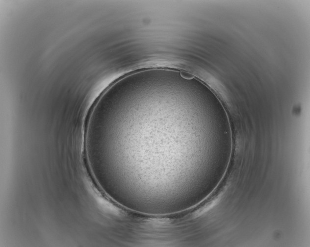 X0000092030844200709131617