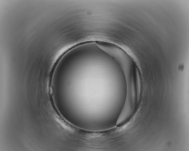 X0000092030846200709131617