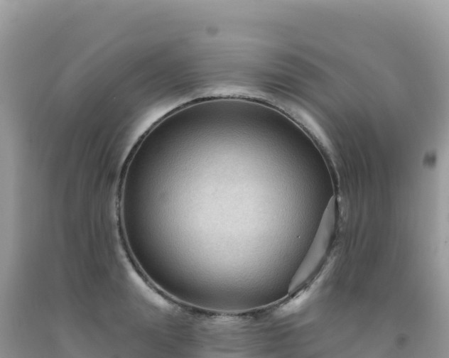 X0000092030847200709131617