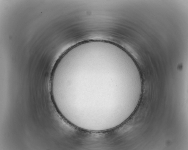 X0000092030848200709131617