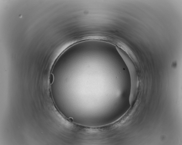 X0000092030852200709131617