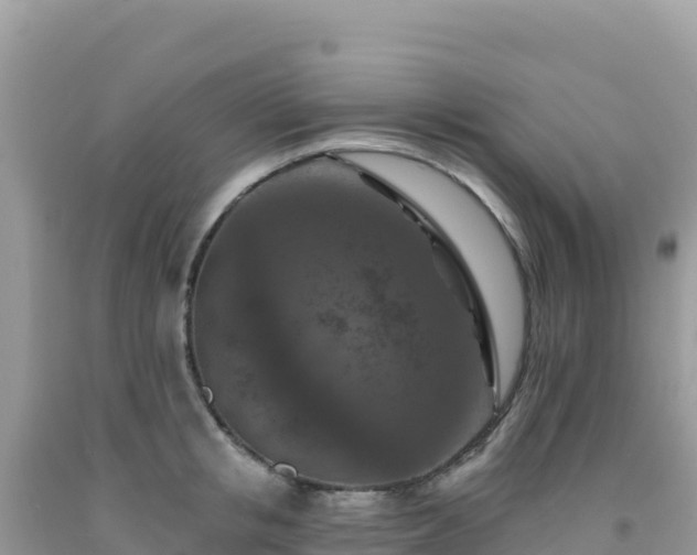 X0000092030853200709131617