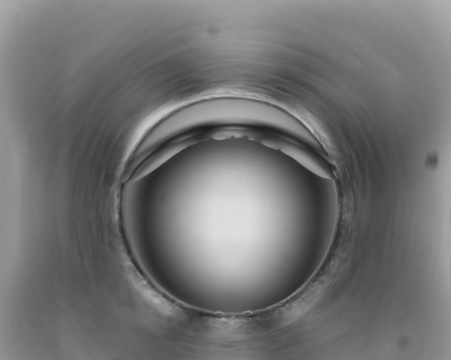 X0000092030854200709131617