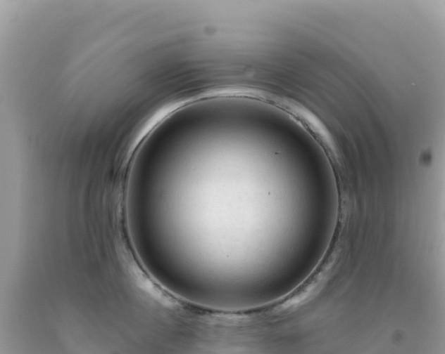 X0000092030860200709131617