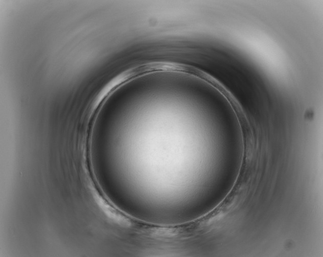 X0000092030861200709131617