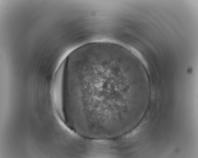 X0000092030863200709131618