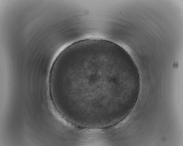 X0000092030864200709131618