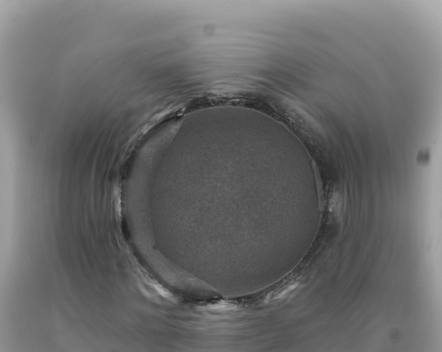 X0000092030868200709131617