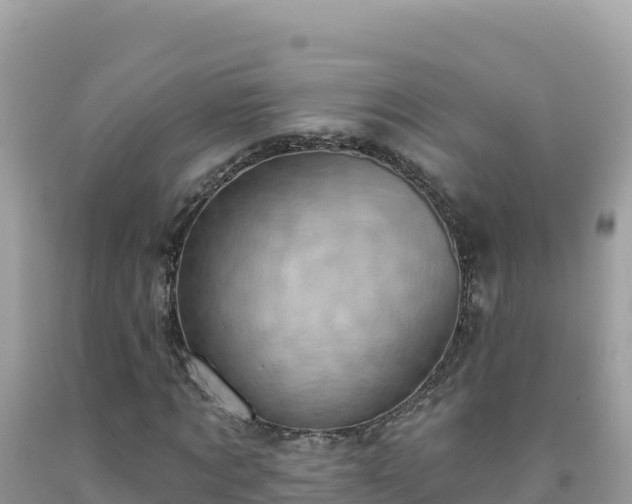 X0000092030869200709131617