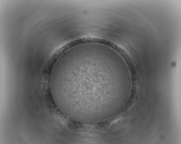 X0000092030870200709131617