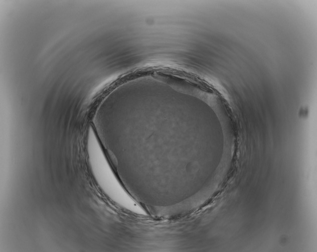X0000092030872200709131617