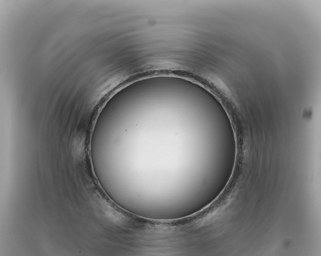 X0000092030873200709131617