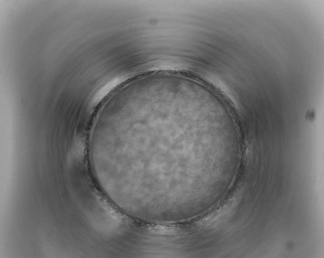 X0000092030874200709131617