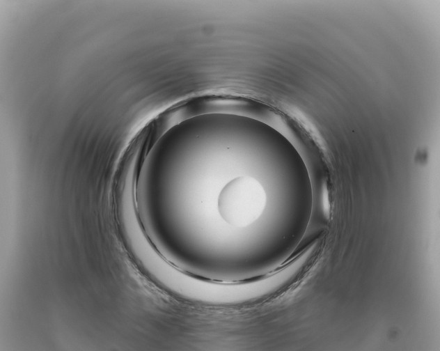X0000092030876200709131617