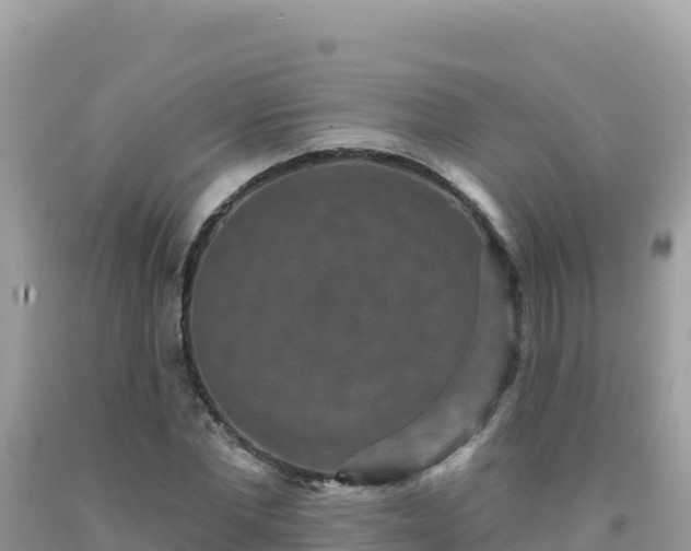 X0000092030877200709131617