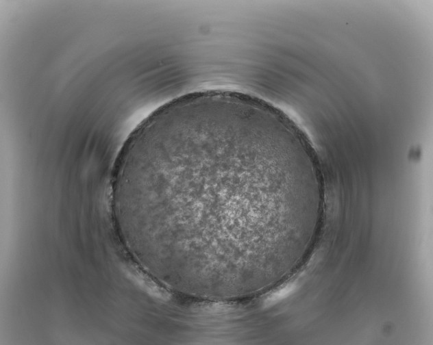 X0000092030879200709131617