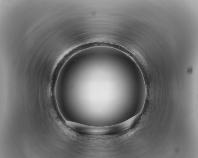 X0000092030880200709131617