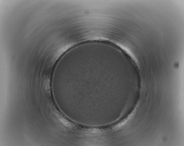 X0000092030881200709131617