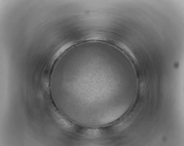 X0000092030882200709131617