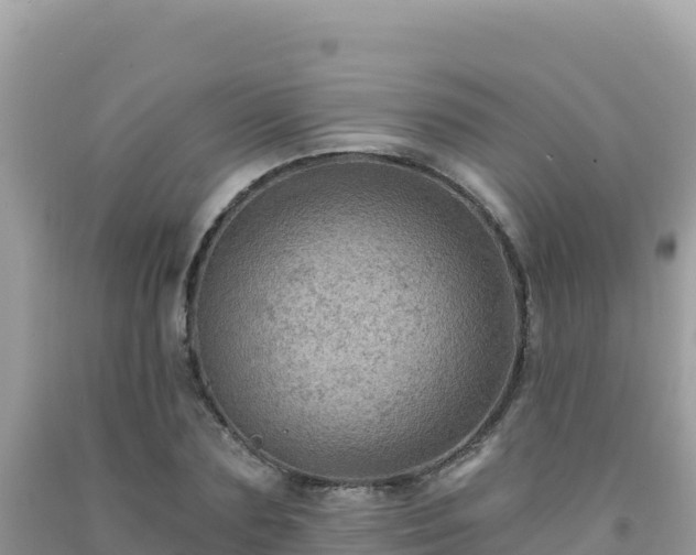 X0000092030883200709131617