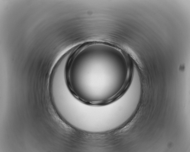 X0000092030884200709131617
