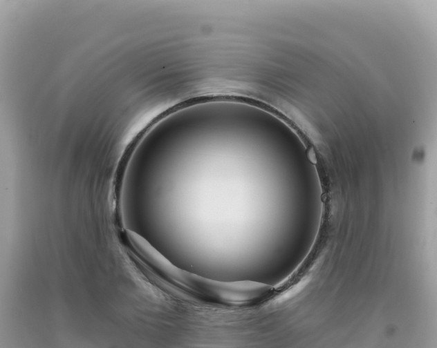 X0000092030885200709131616
