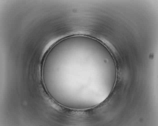 X0000092030886200709131616