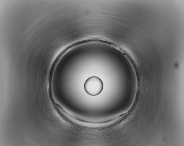 X0000092030888200709131616